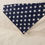 Thumbnail: The Griffin Bandana