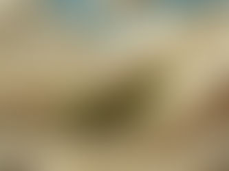 Parity v Differentiation in the Market (POPs v PODs)