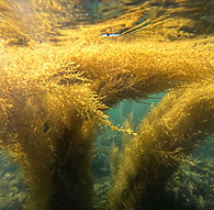 GOPR0225.JPG