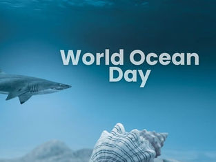 Looking Beyond the Surface This World Ocean Day