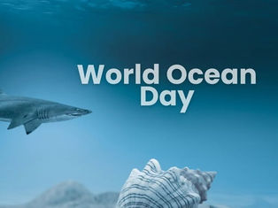 Looking Beyond the Surface This World Ocean Day