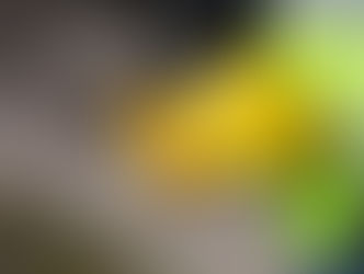 You Dream It, We Build It – Construction for Africa (Pty) Ltd