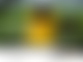 Looking for an exotic island holiday without the long commitment? This 9-day Gili Island and Bali package offers the perfect balance of exploration and relaxation in two of Southeast Asia’s most iconic destinations.