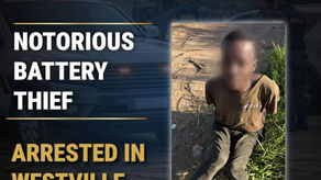 Notorious Battery Theft Suspect Arrested in Westville Following Swift Multi-Team Response - Mobi-Ventures