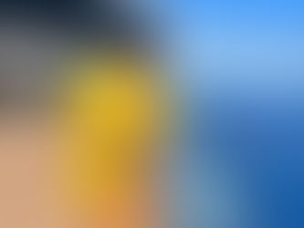 Your Pass To Travel – Access the World in Style