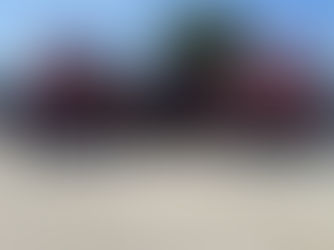 Meet the Women of Avemel Logistics !