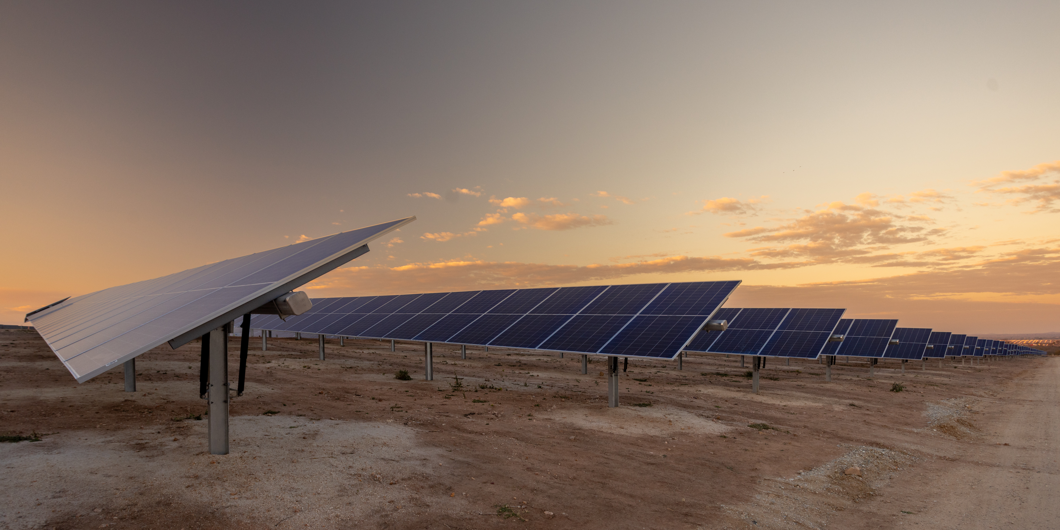 Writer: Nelisiwe Masina