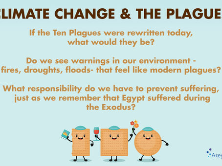 Ideas to Ponder this Pesach