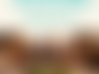 For Your Seder: Resources and Inspiration