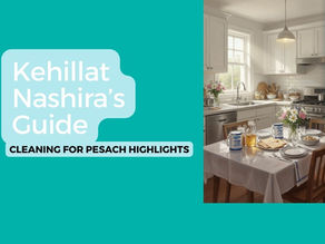 Pesach Cleaning and Kashring Guide