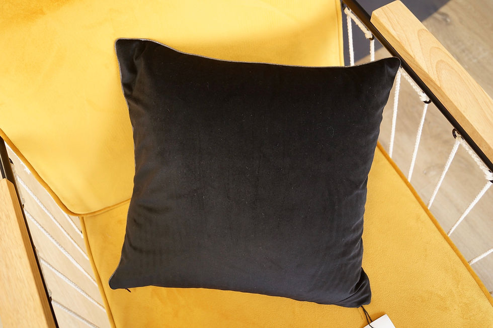 Miniature : COUSSIN 🖤 - N°1
