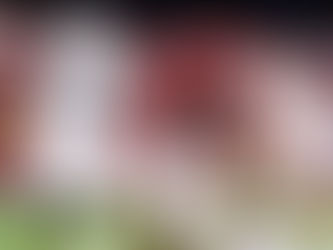 Day After: Tigers Tamed by Sooners