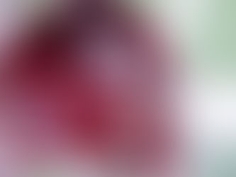 Sooner Surge: Breaking Down Oklahoma’s 2025 Season