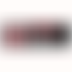 Polish Film Institute