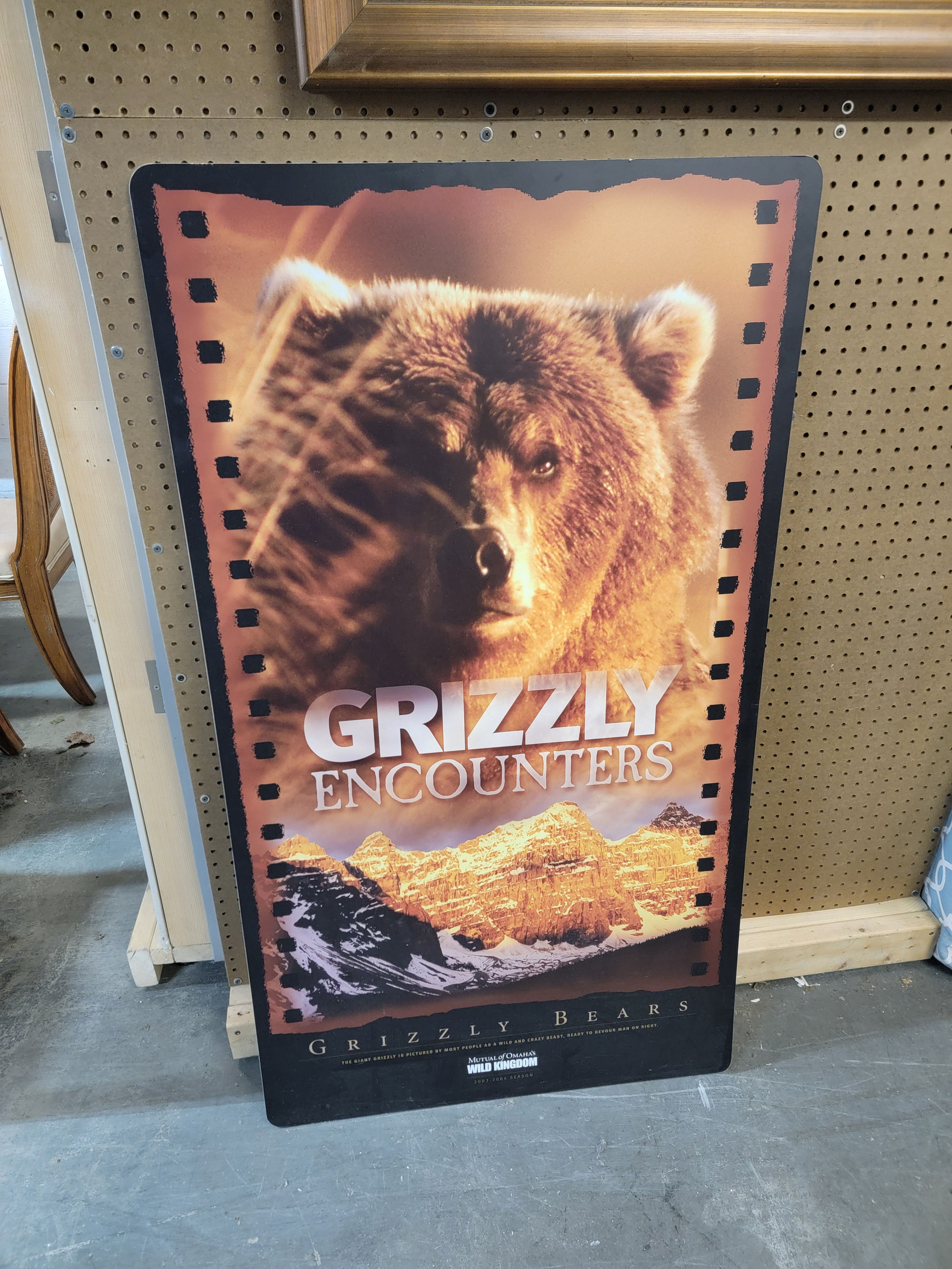Wild Kingdom Grizzly Encounters Foam Board Poster #CO-163