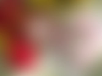 The Great Dragon Fruit