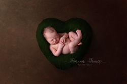 newborn photographer Brisbane
