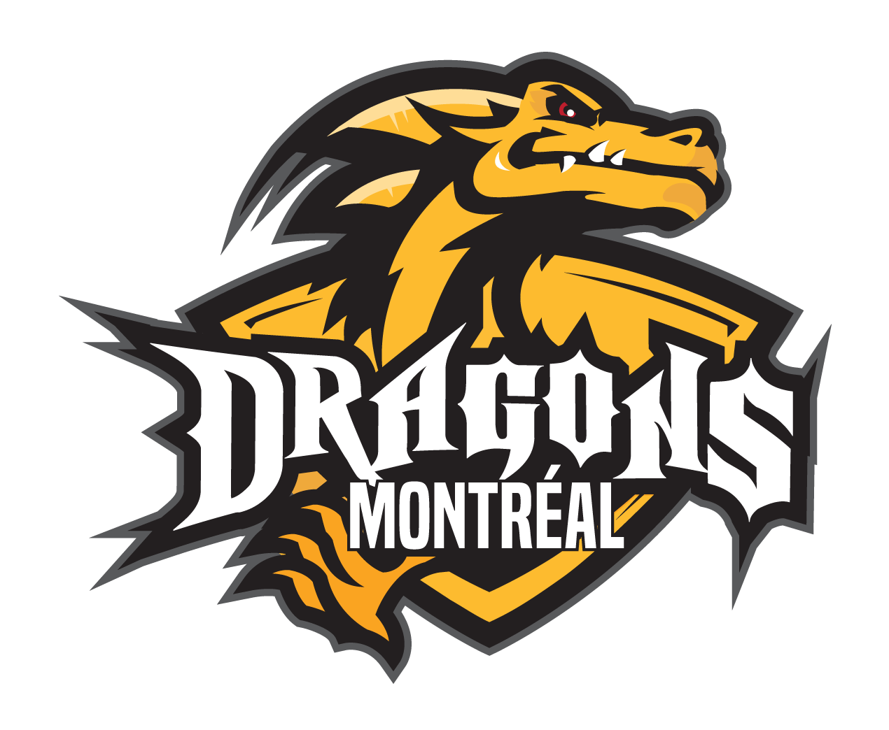 Dragons De Montreal Hockey Lgbt