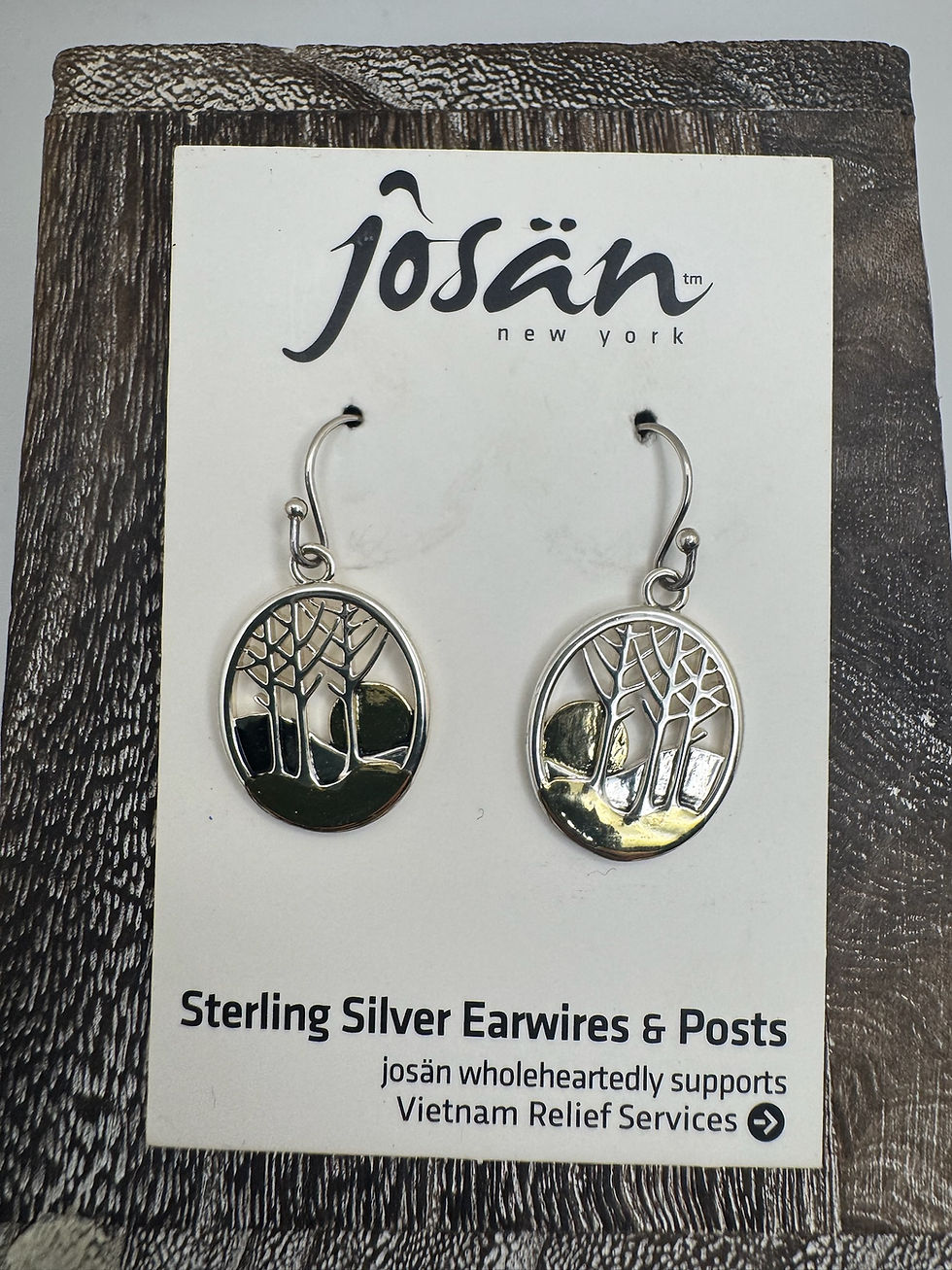 Sterling Silver Earwires