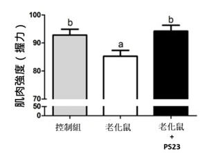PS23青春益生菌-抗老益生菌-蔡英傑-動物實驗-肌力2.jpg