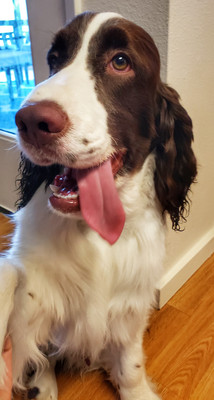 20190612_070721-01.jpeg