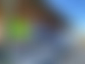 Grazie per la vostra fiducia!