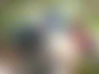 La frase della settimana