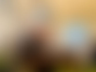 Giornata di inizio anno dell'Opera Chesterton