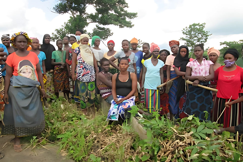 Untitled design (7).jpg