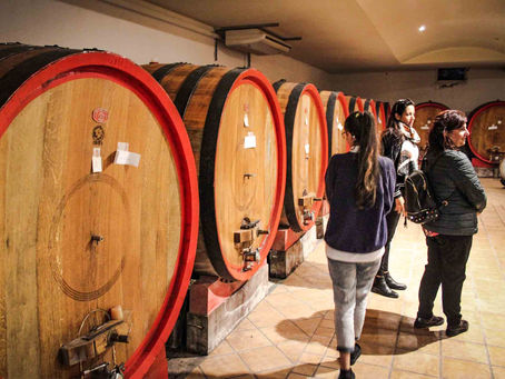 In visita all’azienda vinicola Barone Cornacchia