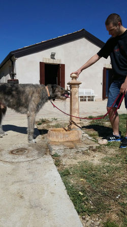 2016-07-25-PHOTO-00013852