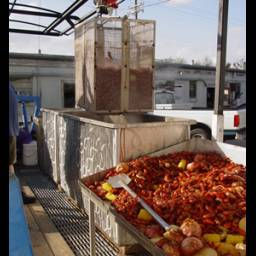 Crawfish Boil