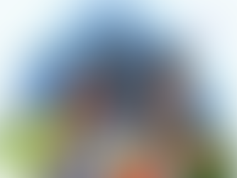 Vida e Território Yanomami:  A luta contra violações de direitos na maior terra indígena do Brasil 