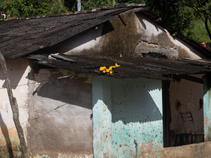 “Quando morar é um privilégio no Brasil, ocupar é um direito”: Aniversário do Estatuto da Cidade