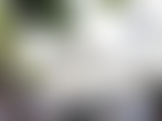 Casarão do Sítio da Trindade é cedido para a construção do Memorial da Democracia de Pernambuco