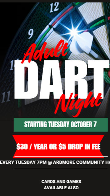 Adult Dart Night
