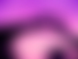 Phase 5: Transparency