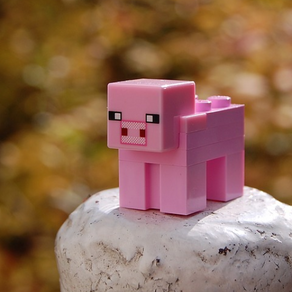 Practical Uses of Minecraft and STEM Communicaiton