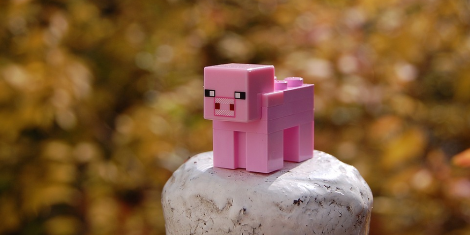 Practical Uses of Minecraft and STEM Communicaiton
