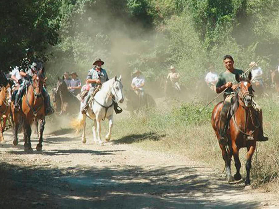 Transumanza 6.jpg