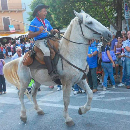 Che cos'è la marcia della transumanza