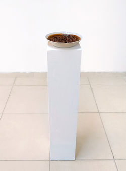 Nail Soup_Shahar Tuchner_Image 4