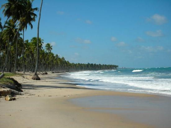 Foto Praia Itapuama