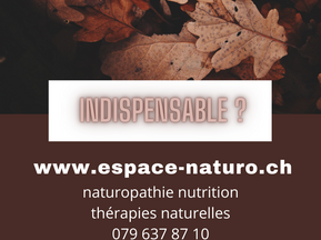 des feuilles de chêne en automne