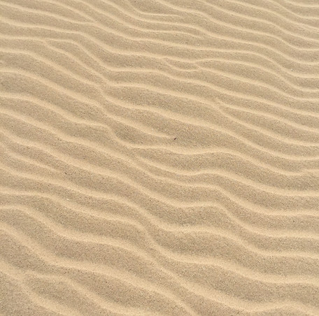 daniel-straub-n5HOJGtYt4Q-unsplash.jpg