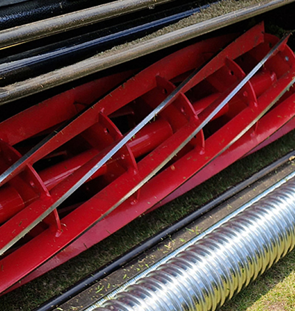 Thumbnail: Cobra Fortis 25FTE EGO Powered Fine Turf Cylinder Lawnmower(KIT)