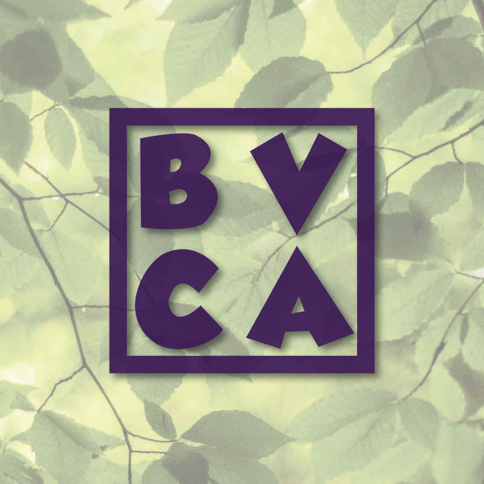 BVCA logo