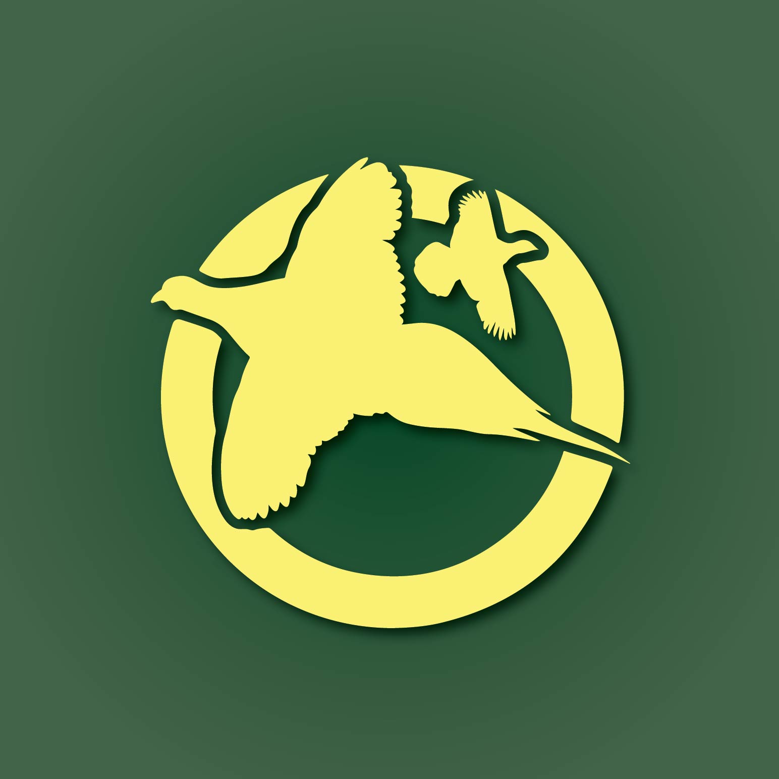 Paul's logo