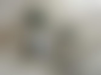 台中豪宅_中央除濕機