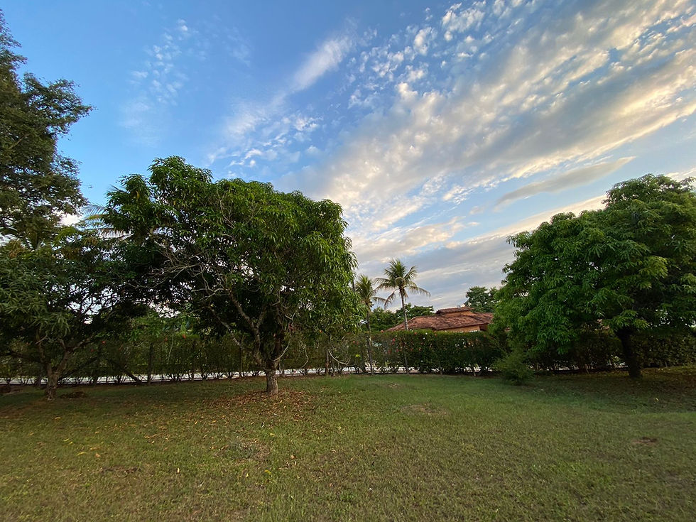 Miniatura: CV 1170  - LARANJAL